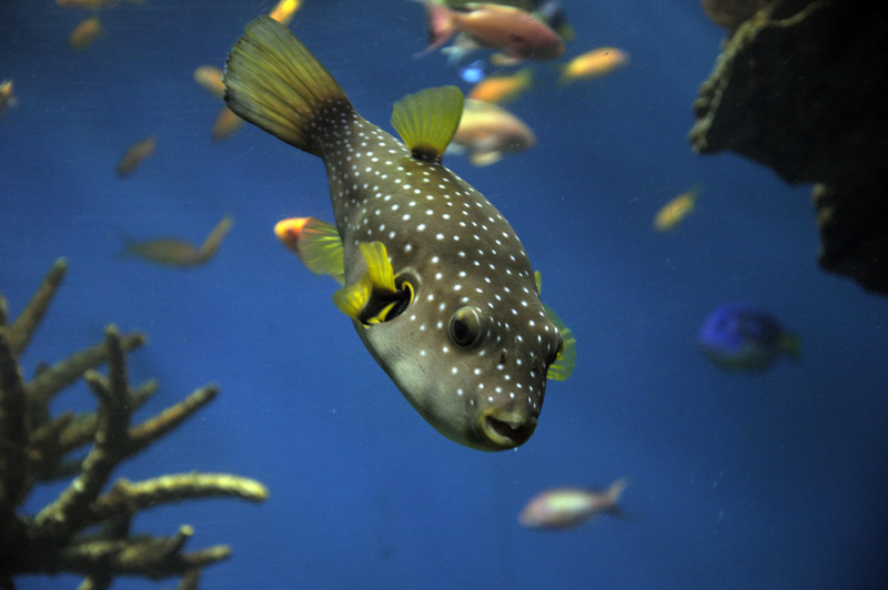 Barcelona_Aquarium_005