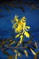 Barcelona_Aquarium_009