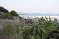 Torredembarra_007