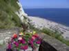 coast_walks001.jpg (85kb)