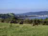 coast_walks007.jpg (57kb)