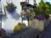 coast_walks010.jpg (89kb)