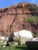 coast_walks016.jpg (82kb)
