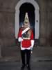 horseguard01.jpg (34kb)