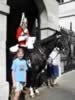 horseguard03.jpg (57kb)
