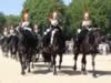 horseguard06.jpg (89kb)