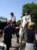 horses1.jpg (62kb)