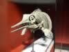 natural_history13.jpg (42kb)
